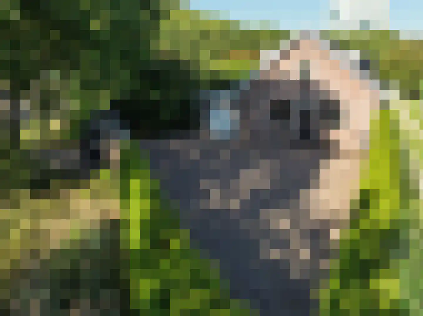 Weg naar Rhijnauwen 23 Utrecht thumbnail 64