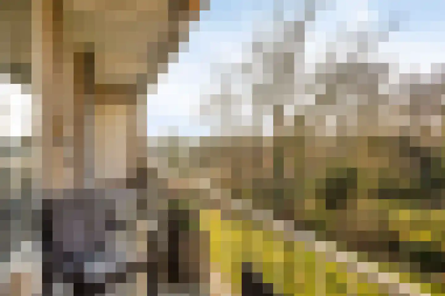 Weg naar 't Lange Water 2 3 Arnhem thumbnail 28