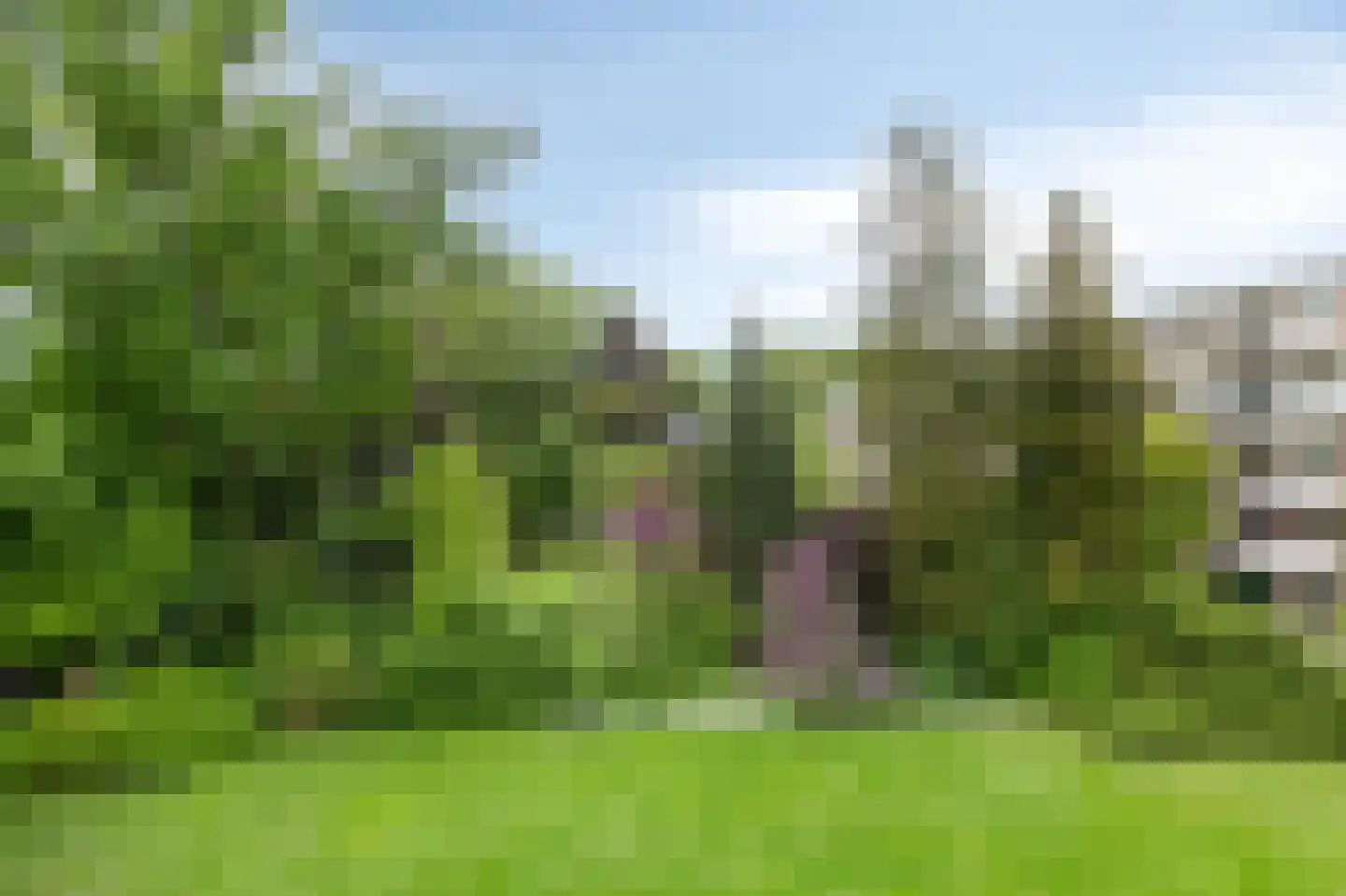 Weg naar 't Lange Water 4 3 Arnhem thumbnail 11
