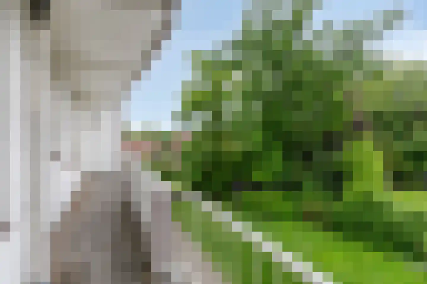 Weg naar 't Lange Water 4 3 Arnhem thumbnail 12