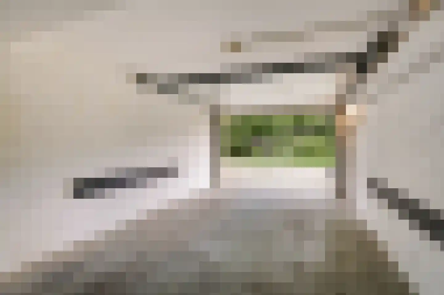Weg naar 't Lange Water 4 3 Arnhem thumbnail 18