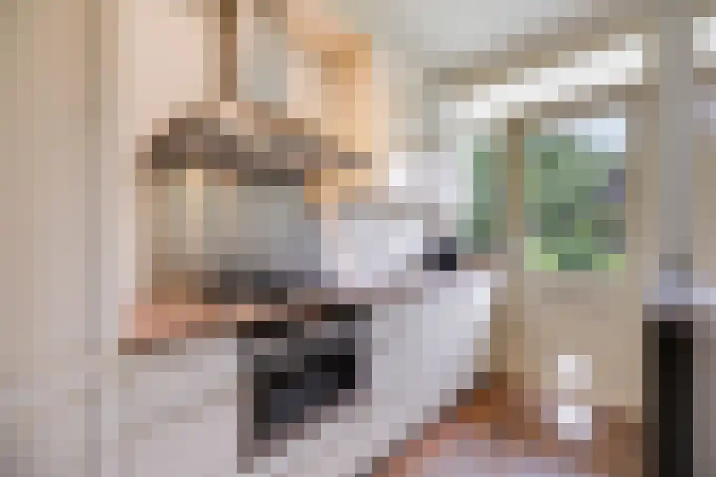 Weg naar 't Lange Water 4 3 Arnhem thumbnail 8