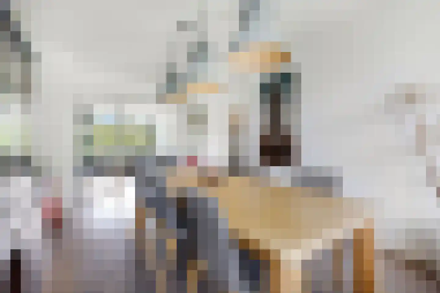 Weg naar 't Lange Water 6 3 Arnhem thumbnail 20