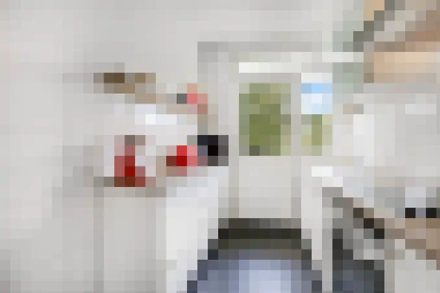 Weg naar 't Lange Water 6 3 Arnhem thumbnail 22