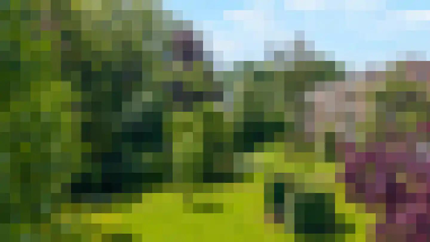 Weg naar 't Lange Water 6 3 Arnhem thumbnail 27