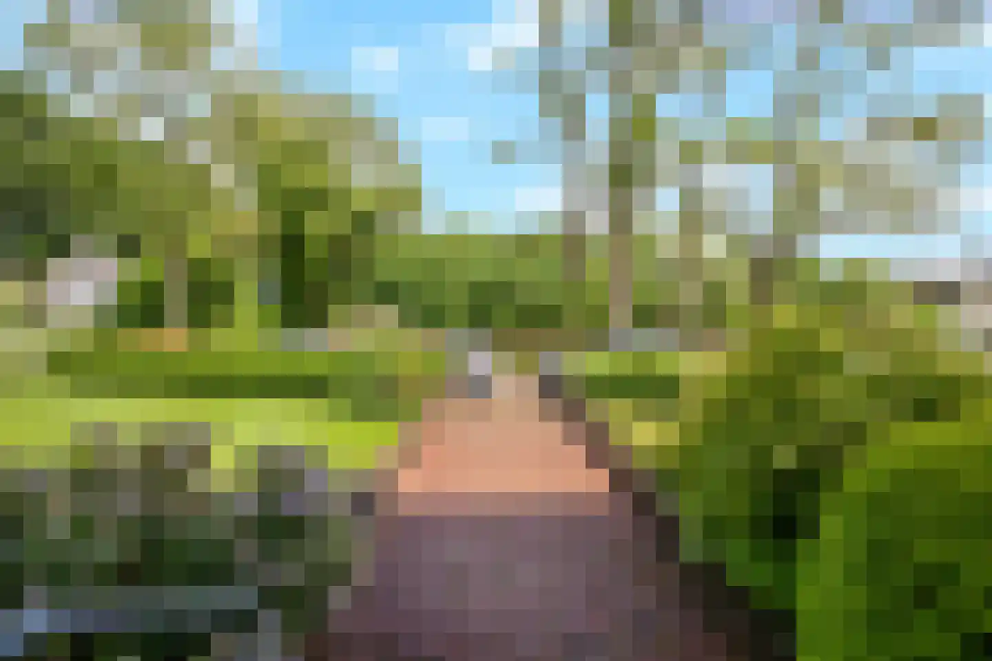 Weg naar 't Lange Water 6 3 Arnhem thumbnail 8