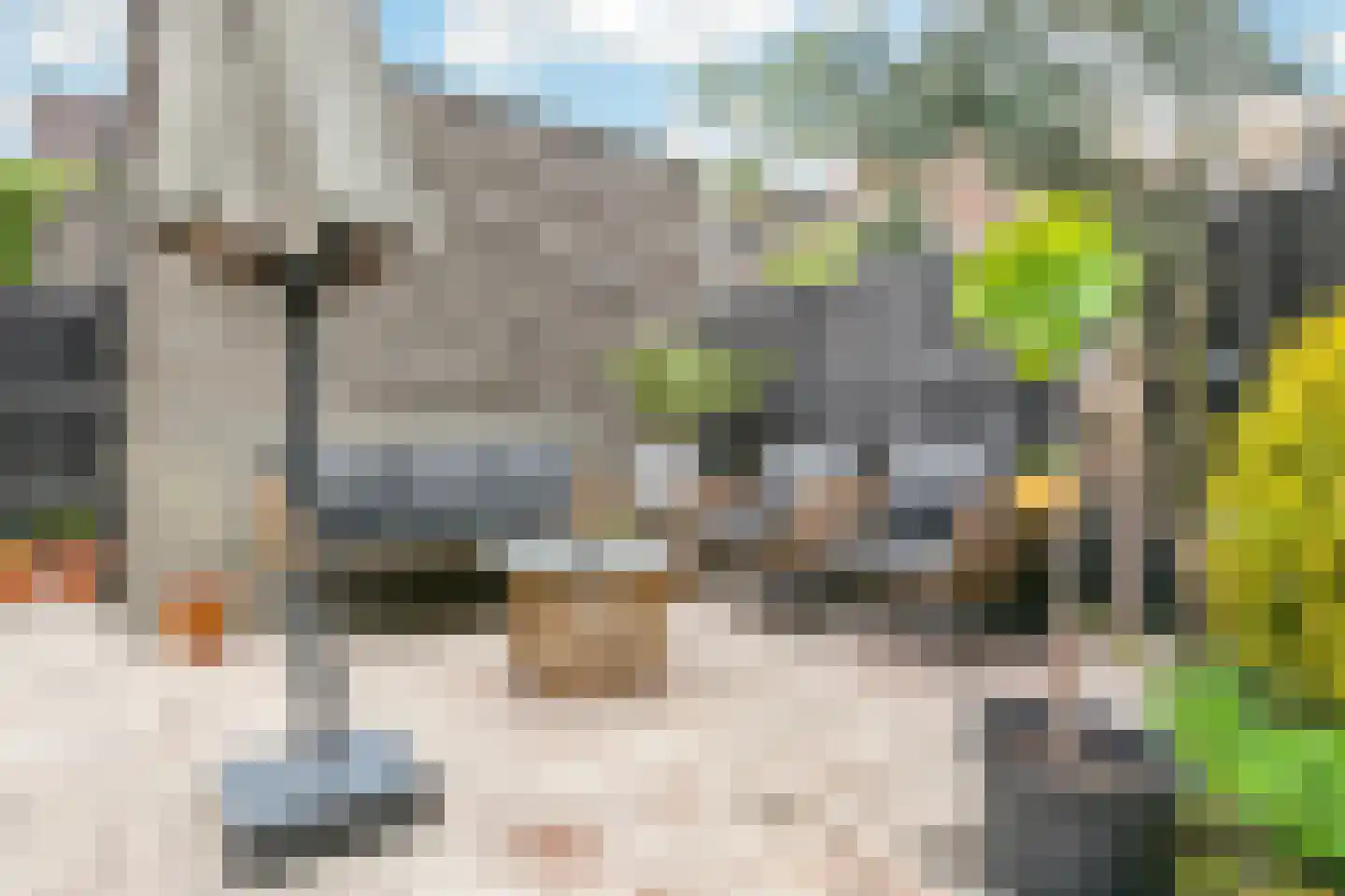 Weg naar 't Zand 25 Utrecht thumbnail 35