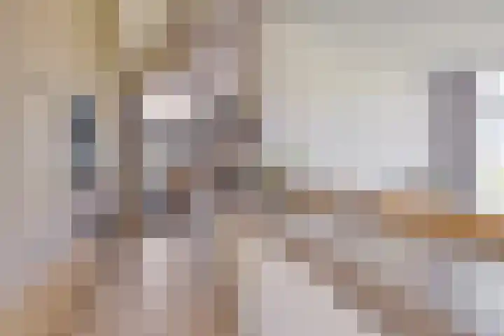 Weg naar Voorst 1 c Zutphen thumbnail 11