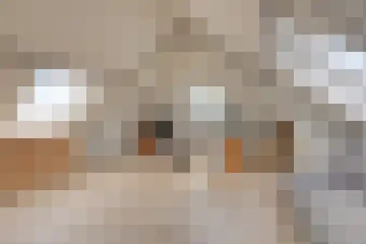 Weg naar Voorst 1 c Zutphen thumbnail 38