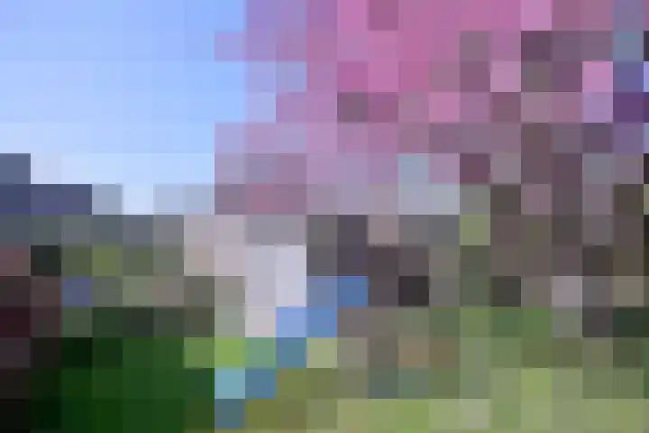 Weg naar Voorst 1 c Zutphen thumbnail 43