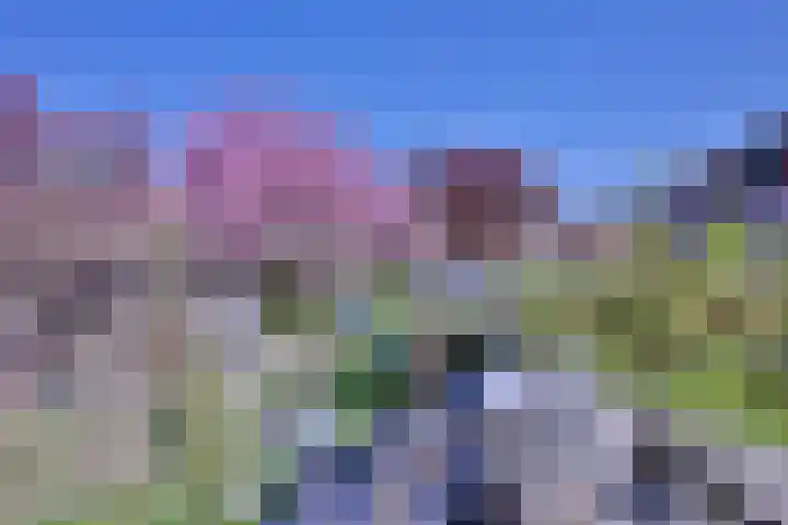 Weg naar Voorst 1 c Zutphen thumbnail 44