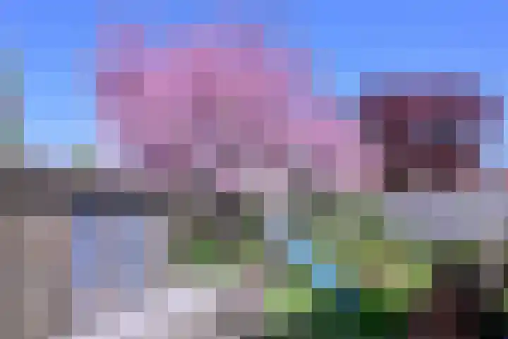 Weg naar Voorst 1 c Zutphen thumbnail 46