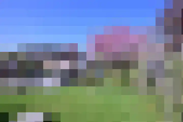 Weg naar Voorst 1 c Zutphen thumbnail 49