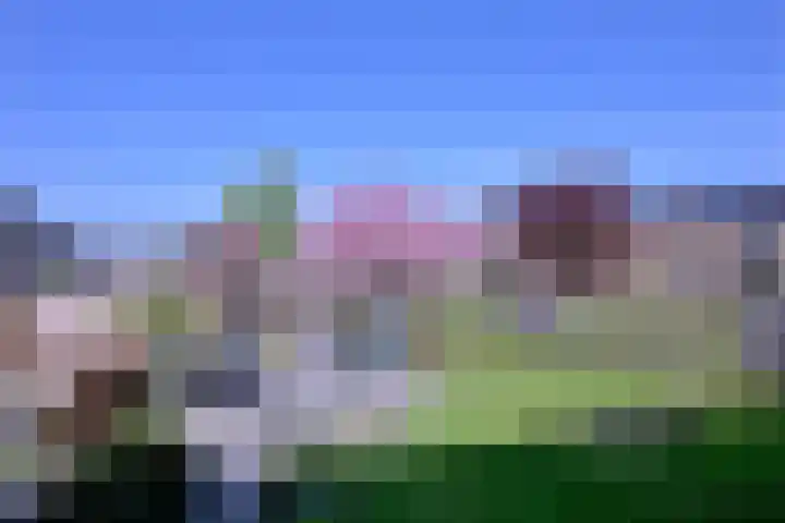 Weg naar Voorst 1 c Zutphen thumbnail 50