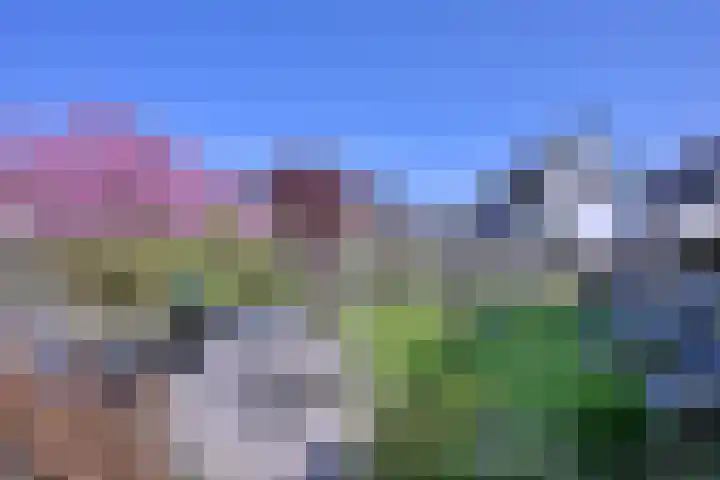 Weg naar Voorst 1 c Zutphen thumbnail 51