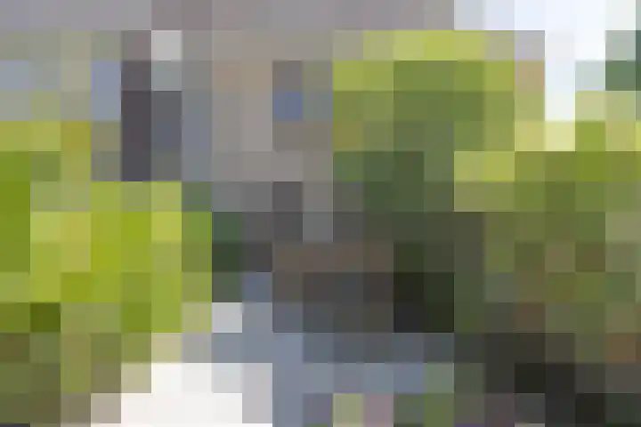 Weg naar Voorst 1 c Zutphen thumbnail 54
