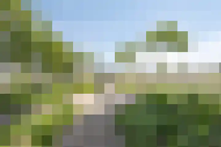 Weg naar Voorst 1 c Zutphen thumbnail 55