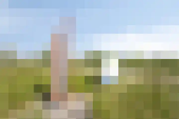 Weg naar Voorst 1 c Zutphen thumbnail 56