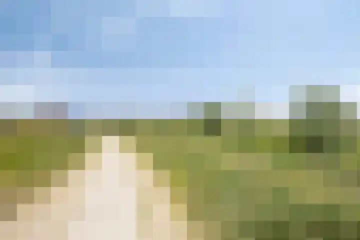 Weg naar Voorst 1 c Zutphen thumbnail 57