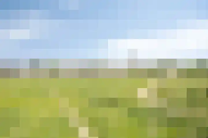 Weg naar Voorst 1 c Zutphen thumbnail 60