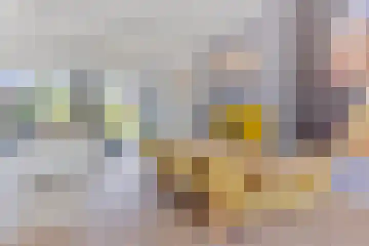 Weg naar Voorst 1 c Zutphen thumbnail 8