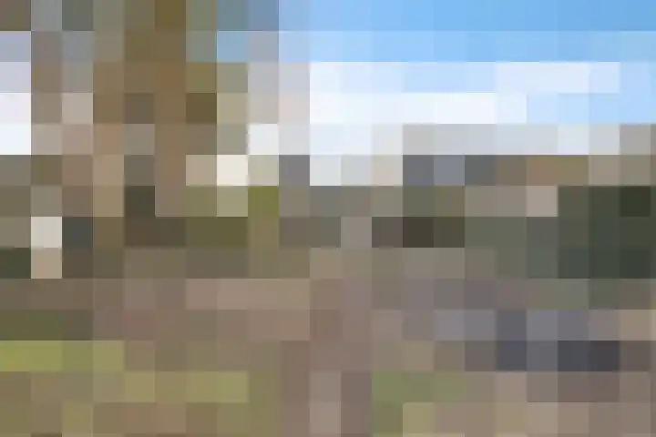 Weg naar Voorst 118 Zutphen thumbnail 32