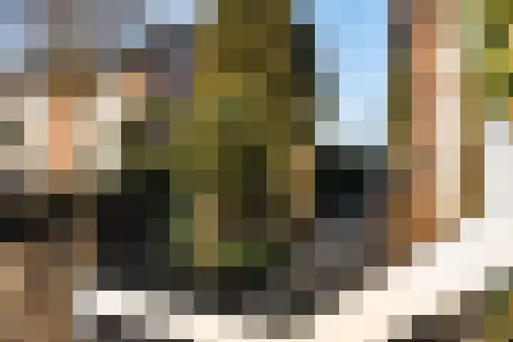 Weg naar Voorst 118 Zutphen thumbnail 4