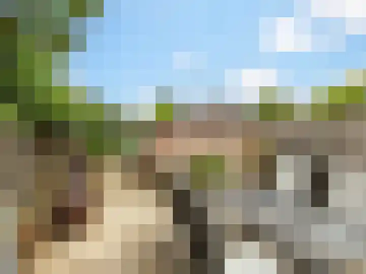 Weg naar Voorst 146 a Zutphen thumbnail 27