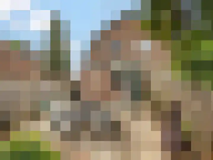 Weg naar Voorst 146 a Zutphen thumbnail 28