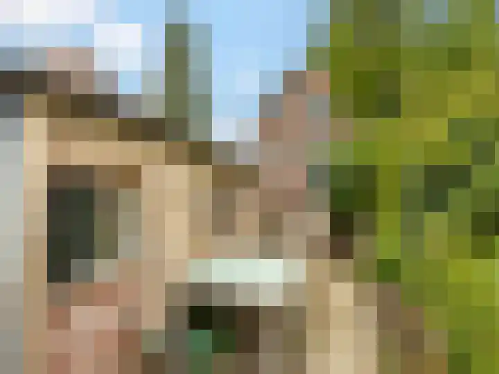 Weg naar Voorst 146 a Zutphen thumbnail 29