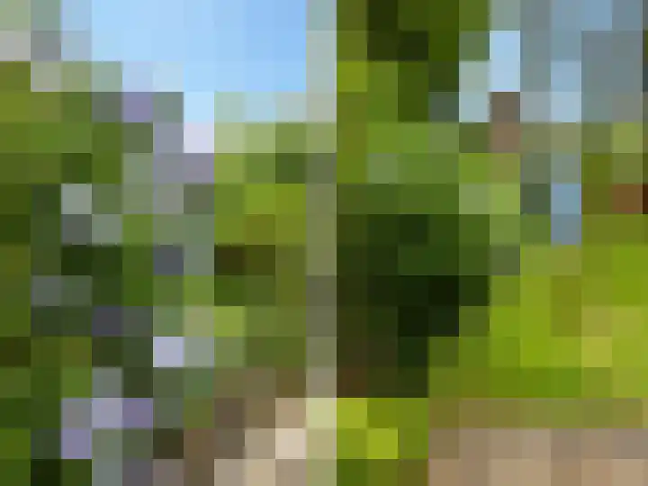 Weg naar Voorst 146 a Zutphen thumbnail 32