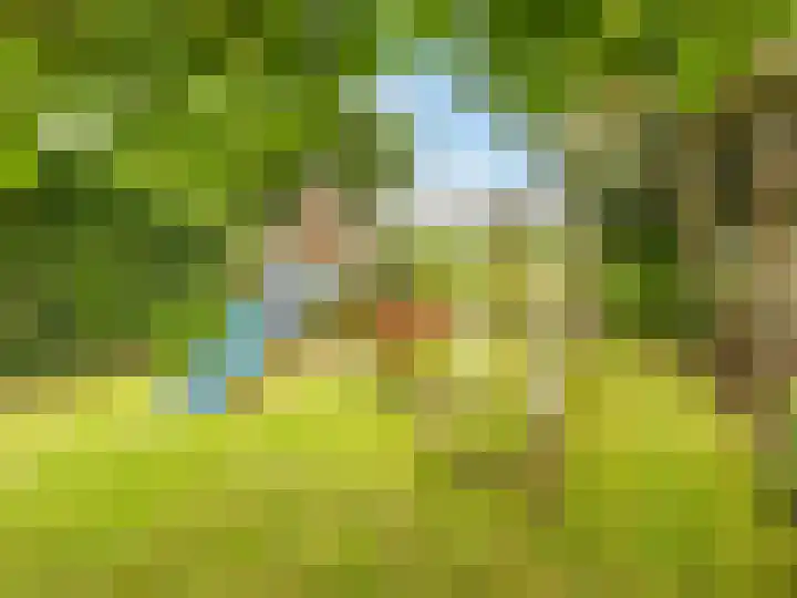 Weg naar Voorst 146 a Zutphen thumbnail 33