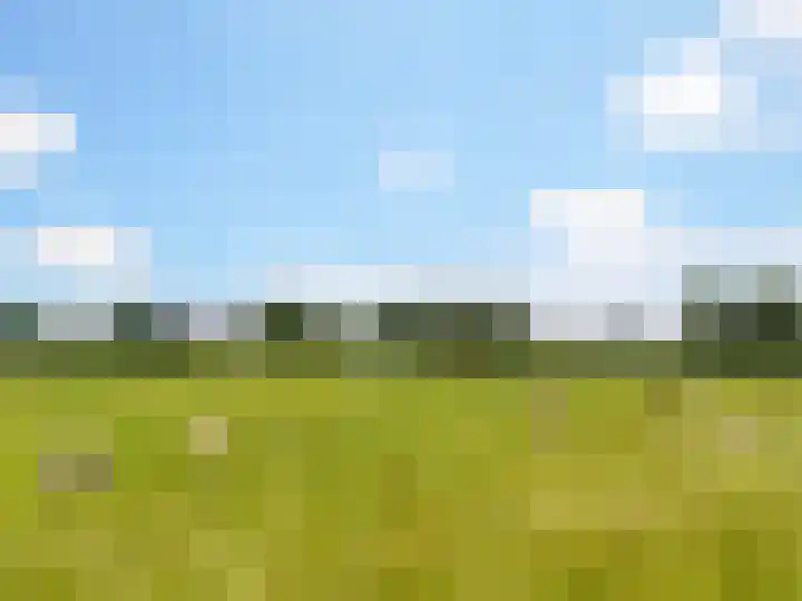 Weg naar Voorst 146 a Zutphen thumbnail 38