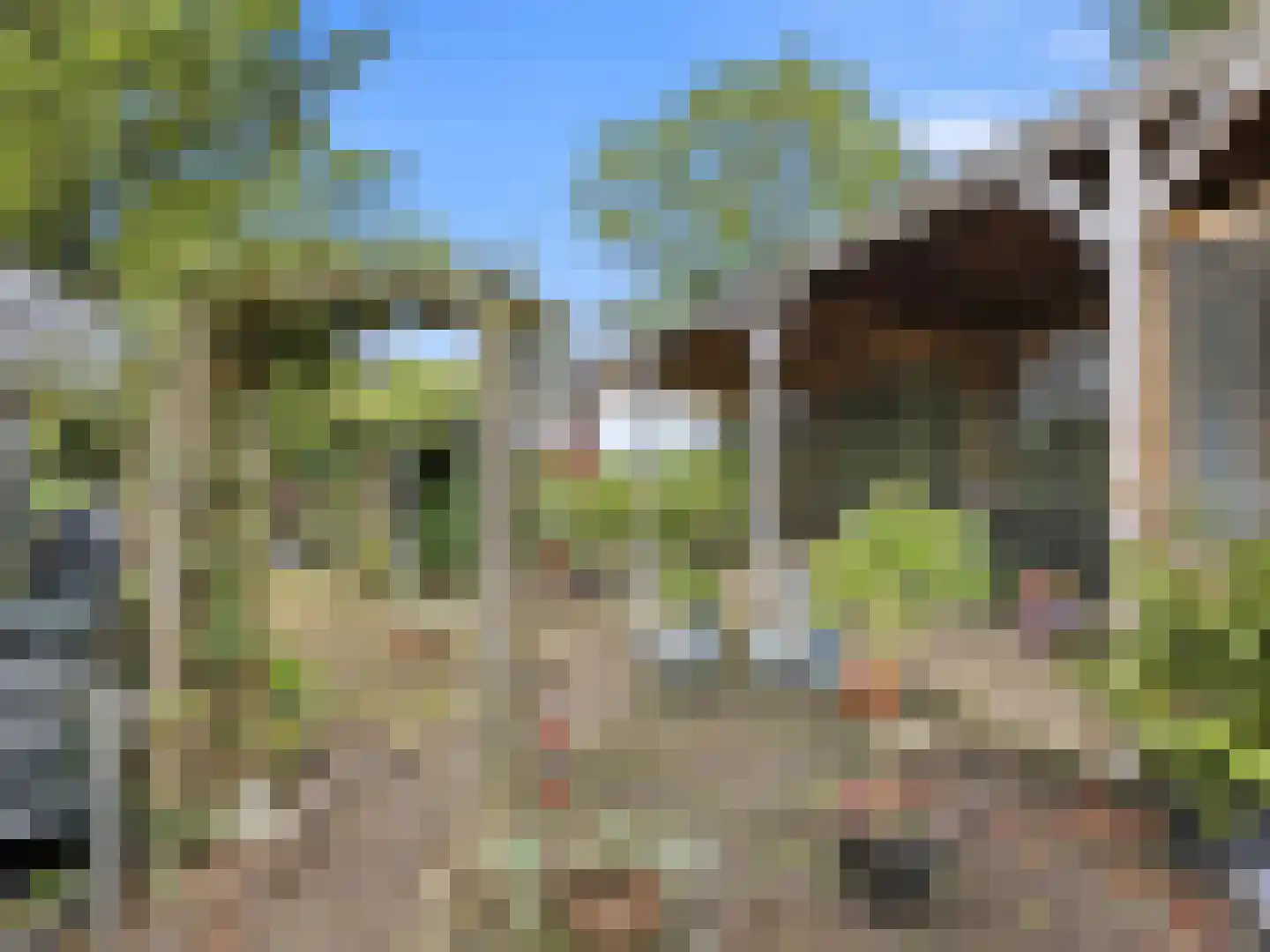 Weg naar Voorst 176 Zutphen thumbnail 29