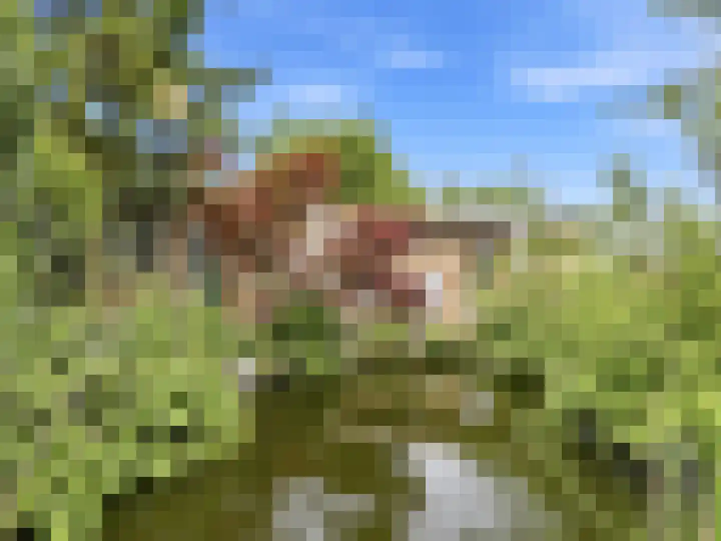 Weg naar Voorst 176 Zutphen thumbnail 33