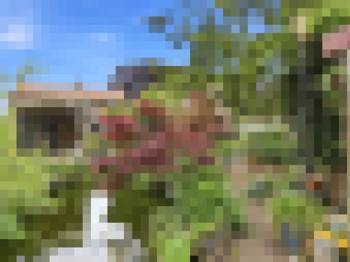 Weg naar Voorst 176 Zutphen thumbnail 36