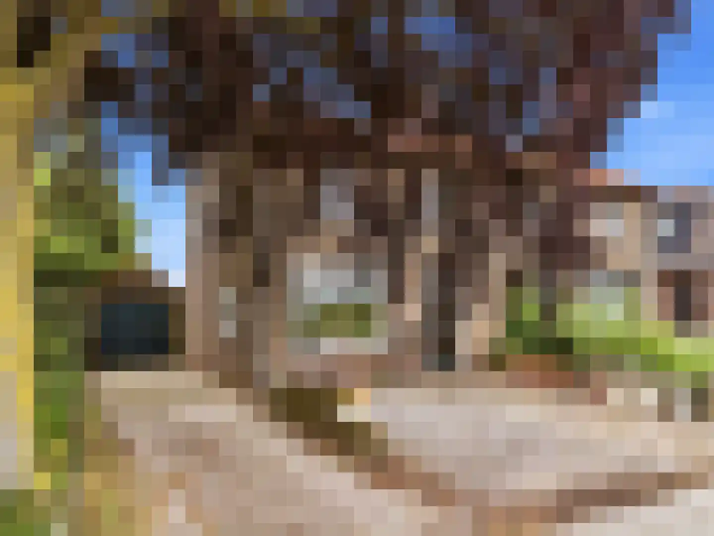 Weg naar Voorst 176 Zutphen thumbnail 38
