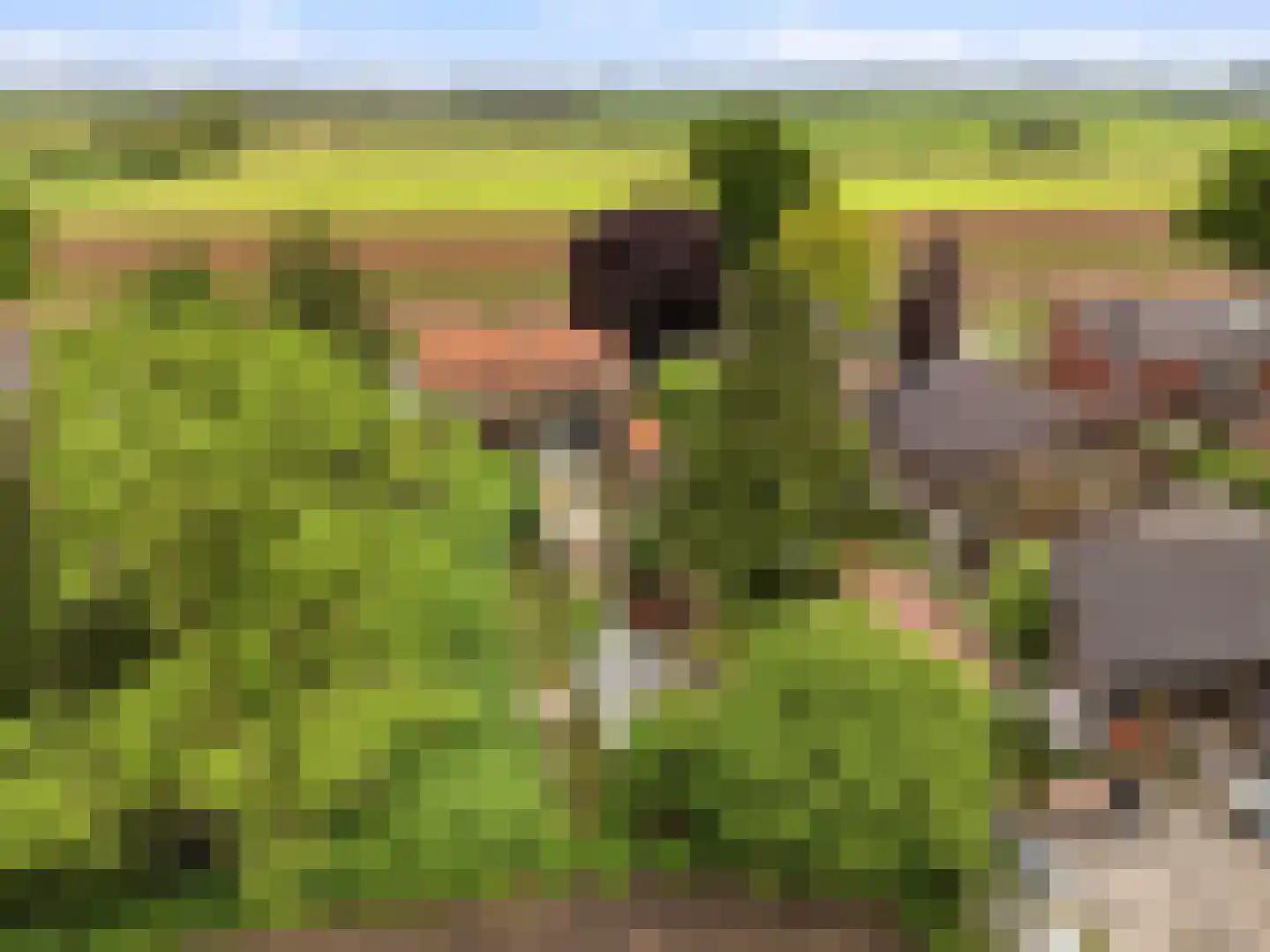 Weg naar Voorst 176 Zutphen thumbnail 40