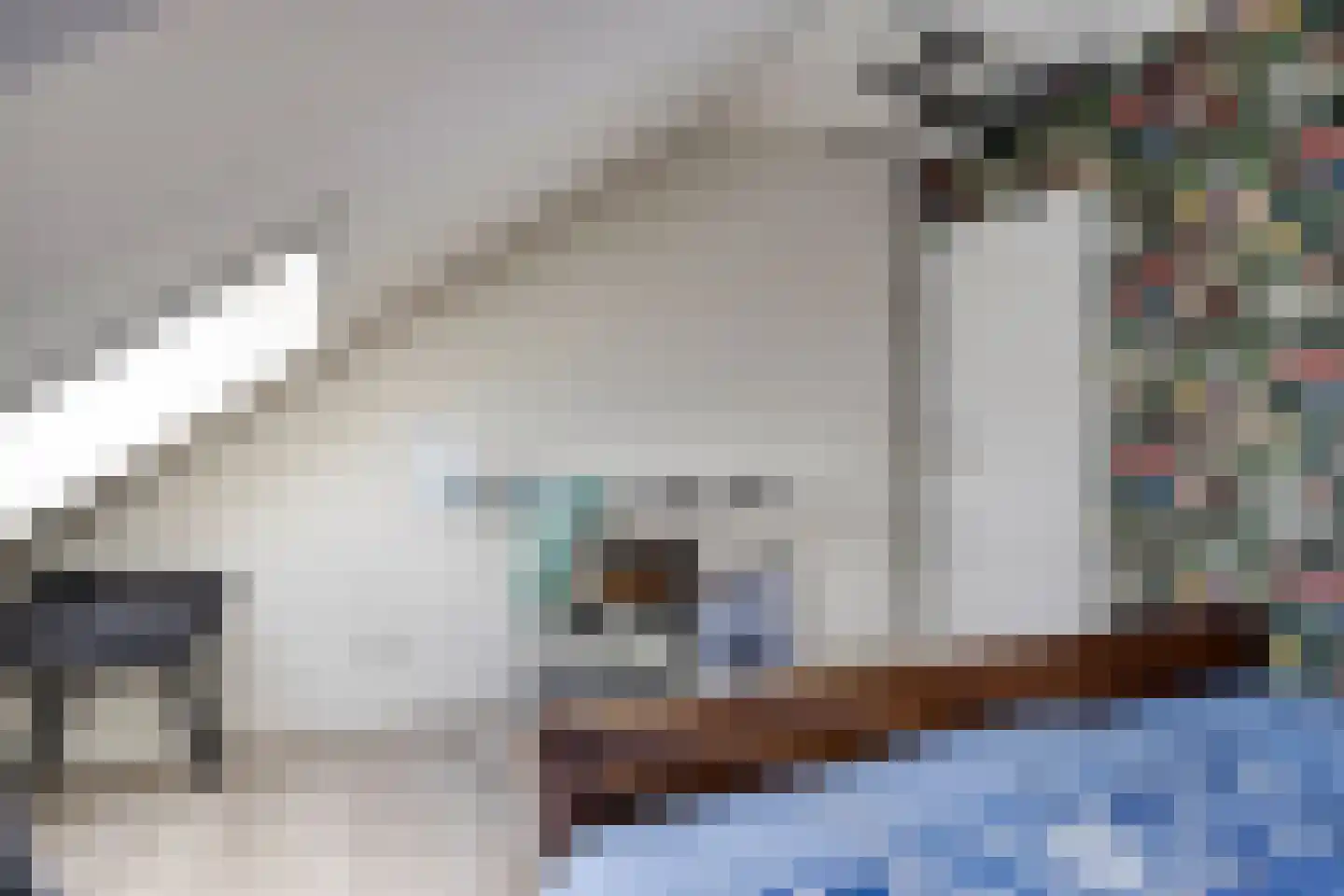 Weg naar Voorst 5 Zutphen thumbnail 22