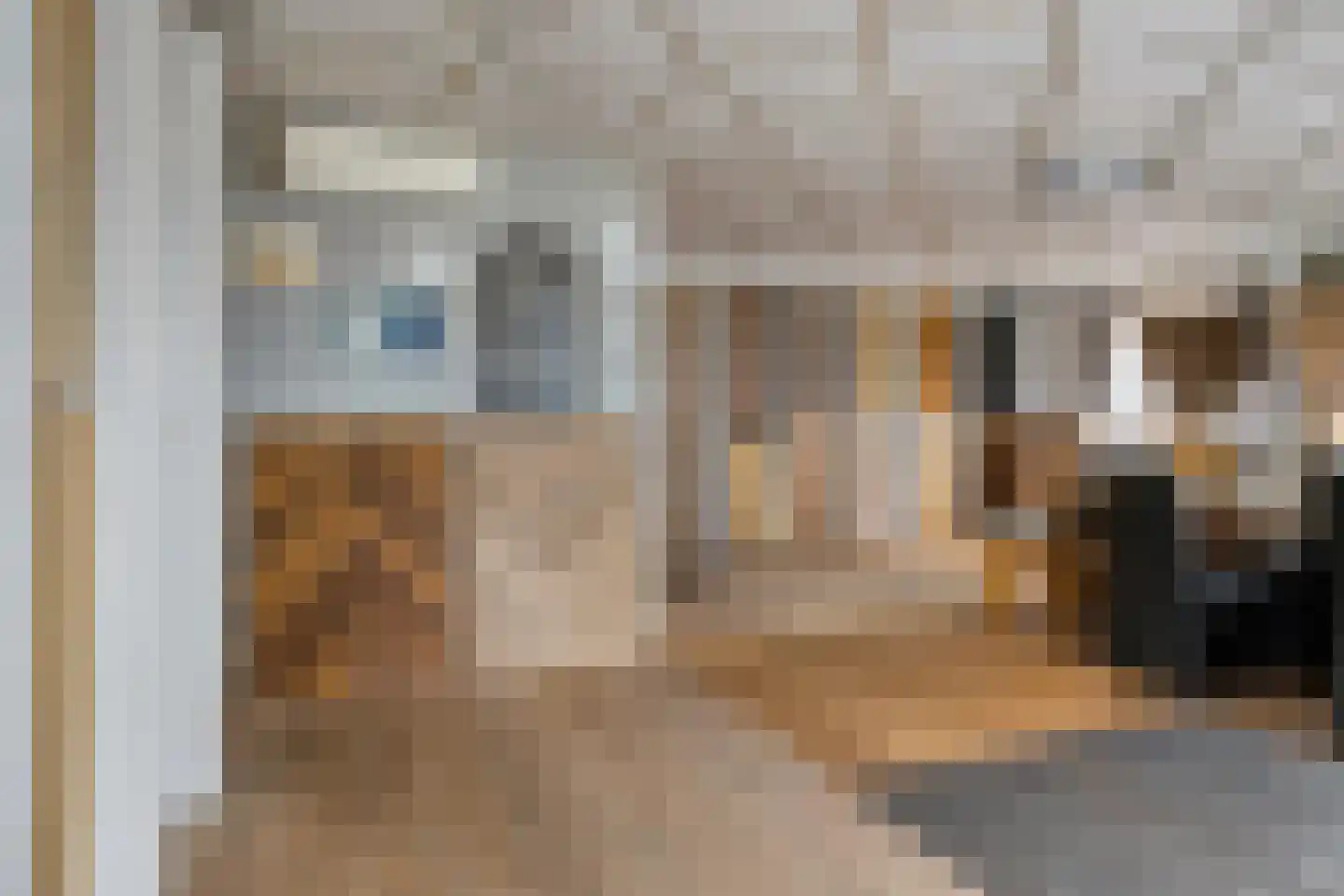 Weg naar Voorst 5 Zutphen thumbnail 29