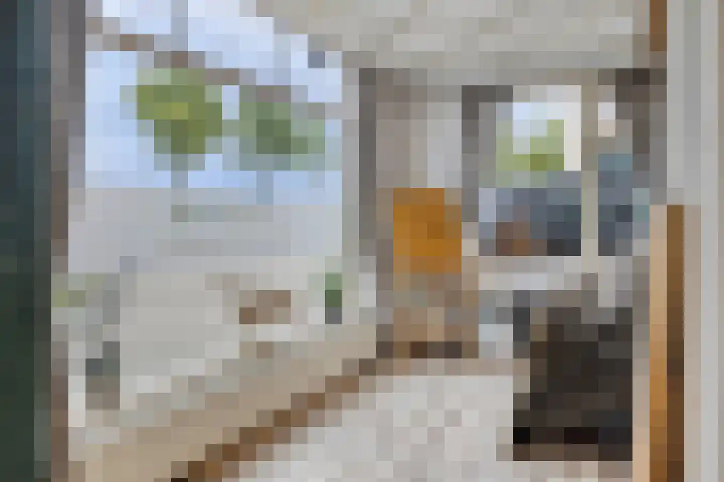 Weg naar Voorst 5 Zutphen thumbnail 35