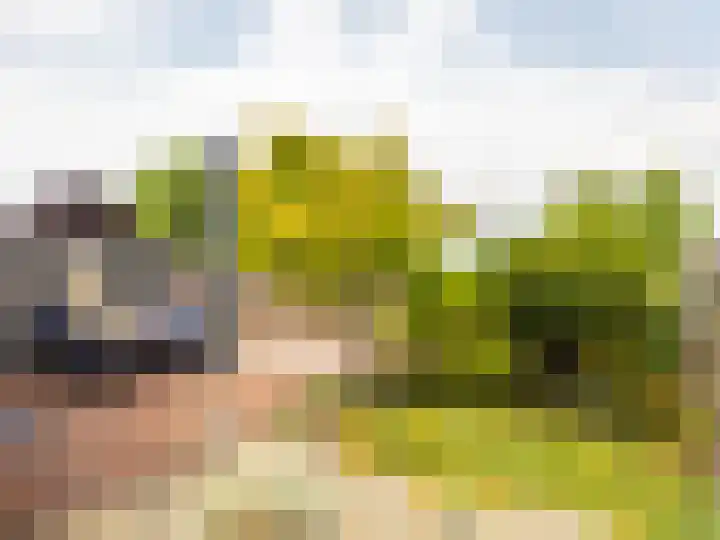Weg naar Voorst 68 a Zutphen thumbnail 28