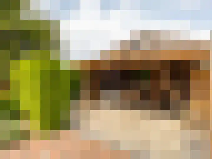 Weg naar Voorst 68 a Zutphen thumbnail 31