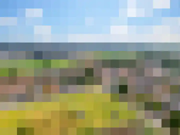 Weg naar Voorst 68 a Zutphen thumbnail 38