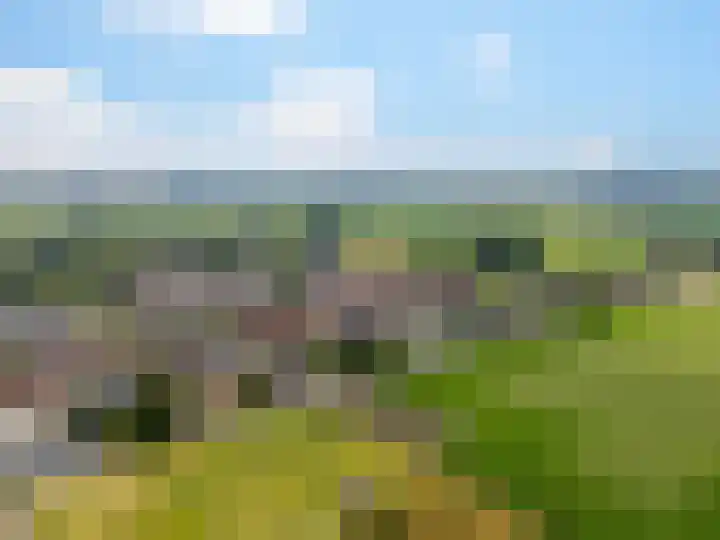 Weg naar Voorst 68 a Zutphen thumbnail 40