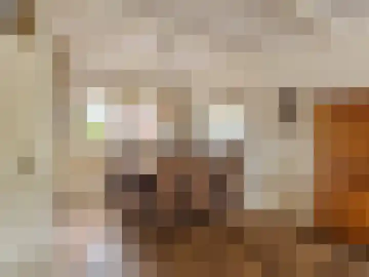 Weg naar Voorst 68 a Zutphen thumbnail 7