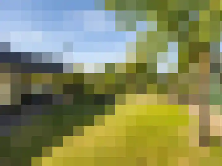 Weg naar Voorst 78 Zutphen thumbnail 34