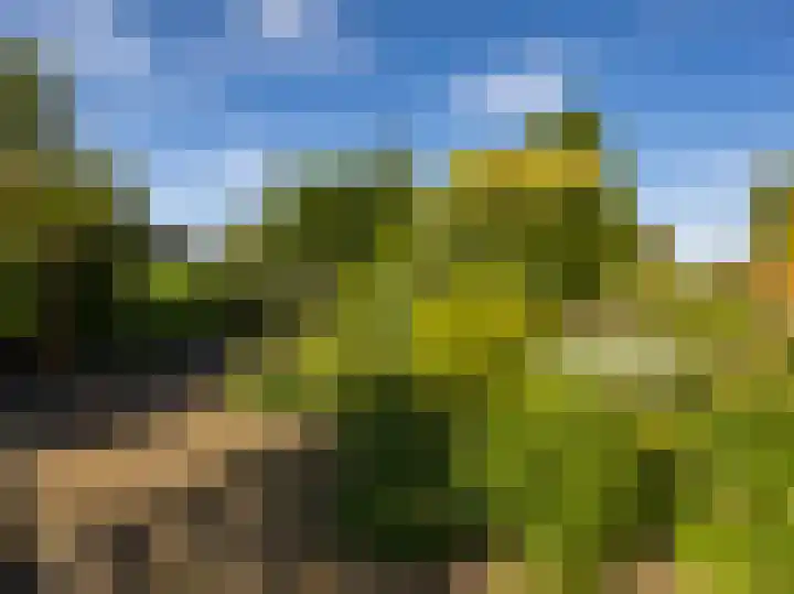 Weg naar Voorst 78 Zutphen thumbnail 42