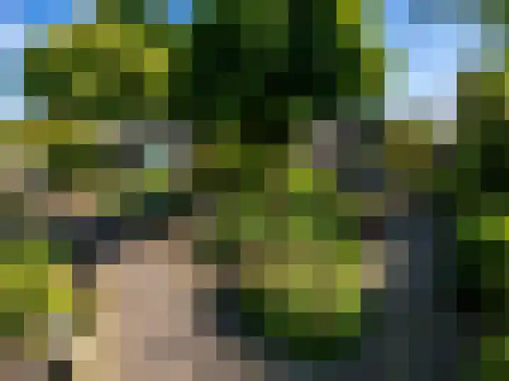 Weg naar Voorst 78 Zutphen thumbnail 44
