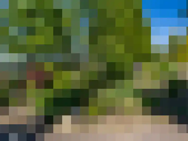 Weg naar Voorst 78 Zutphen thumbnail 45